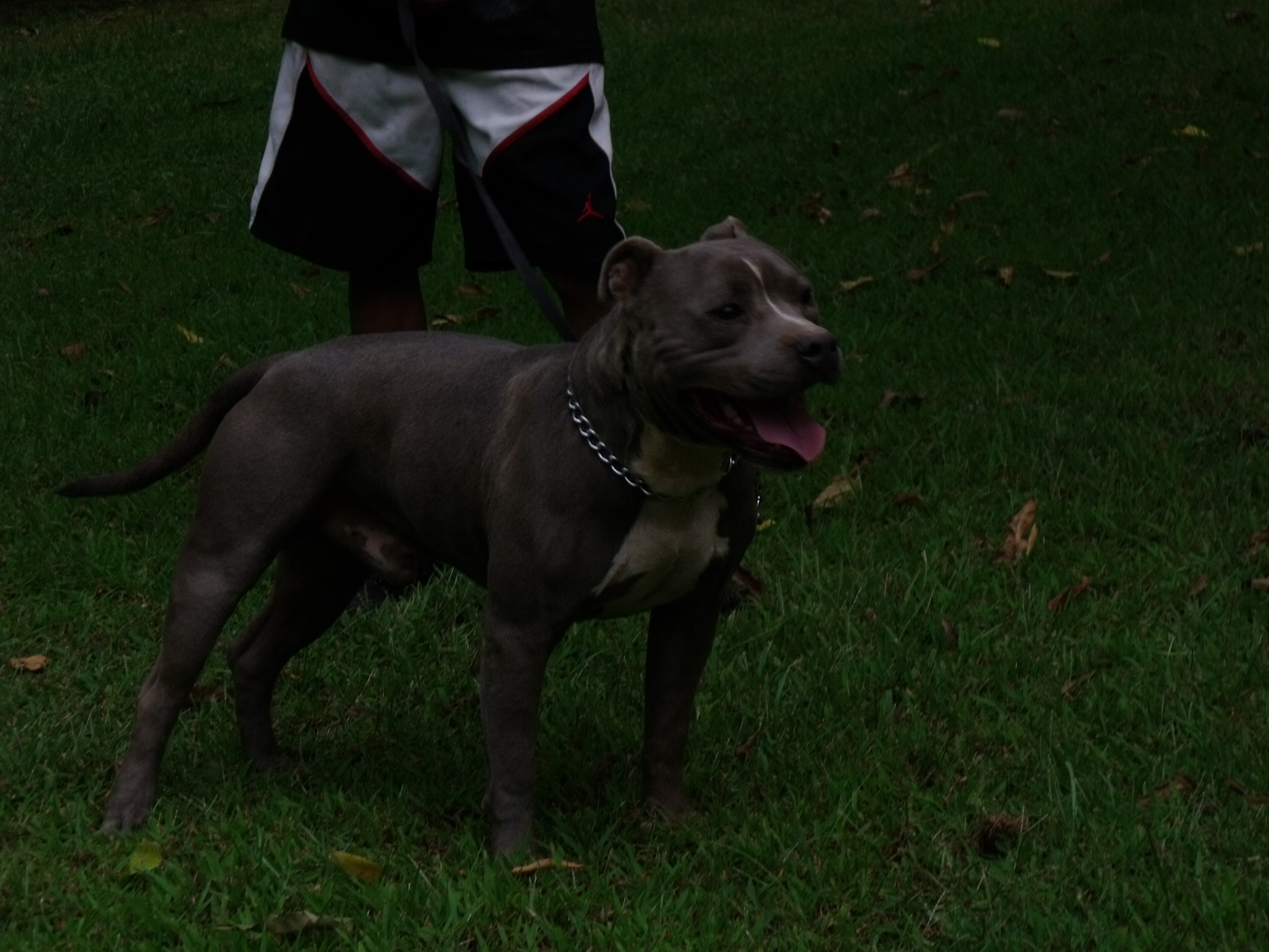 2009_09020004.jpg