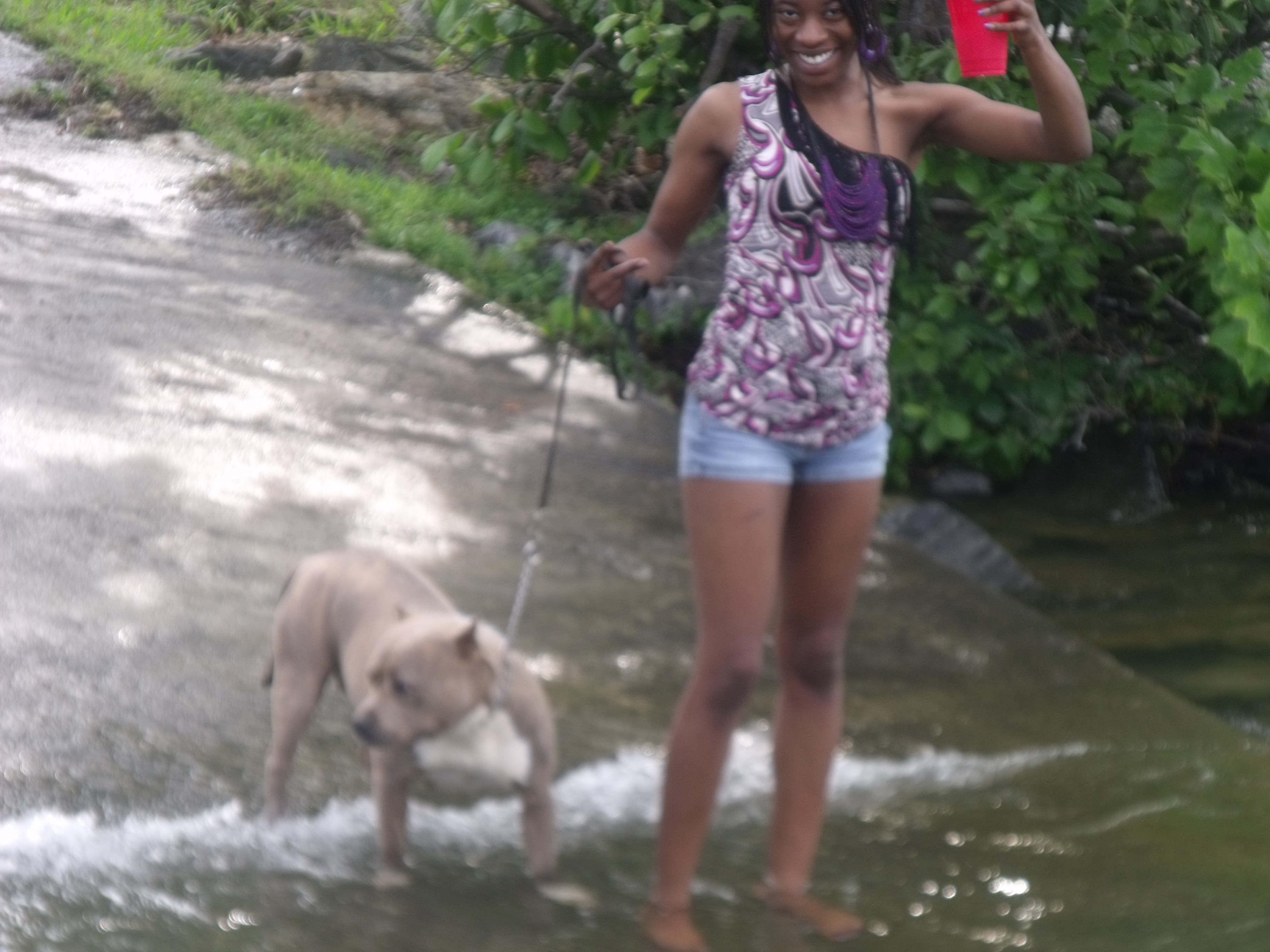 dscf1047.jpg