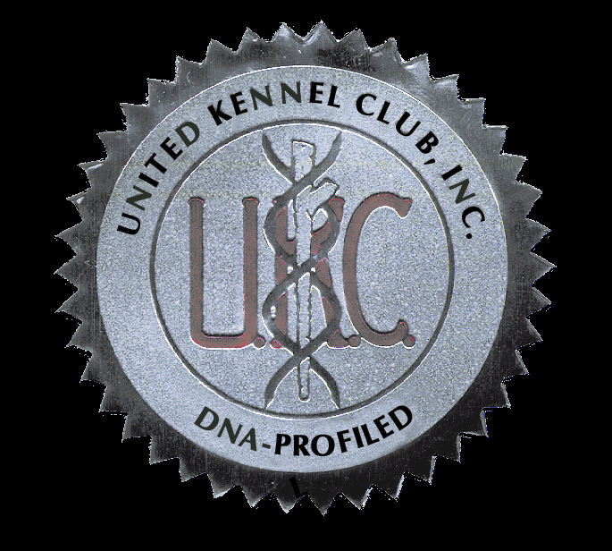 ukcsymbol.gif